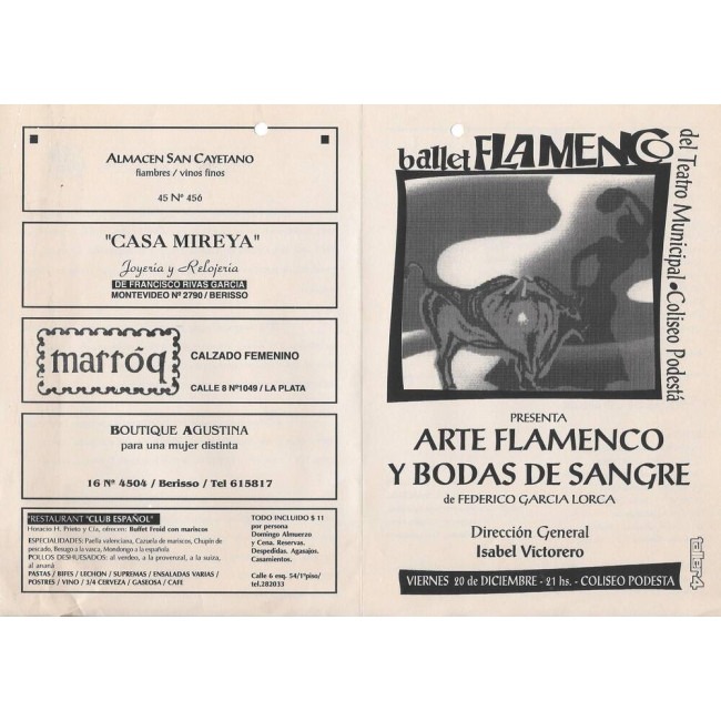"Arte flamenco y Bodas y sangre"