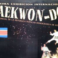 Taekwon-Do