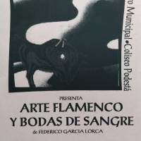 Bodas de Sangre