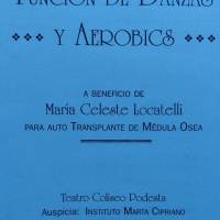 Festival de danzas y aerobics