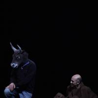 Ciclo Ciudad en Escena. Pobrecito
