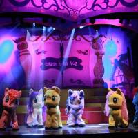 My Litle Pony. El show en vivo