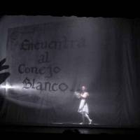 Ciclo Ciudad en Escena. Alicia, ensueño de Maravillas