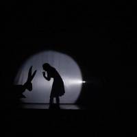 Ciclo Ciudad en Escena. Alicia, ensueño de Maravillas