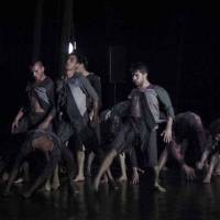 Ciclo Ciudad en Escena. Las Bestias