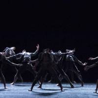 Ciclo Ciudad en Escena. Las Bestias