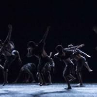 Ciclo Ciudad en Escena. Las Bestias