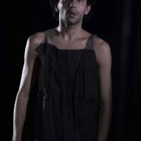 Ciclo Ciudad en Escena. Las Bestias