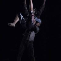 Ciclo Ciudad en Escena. Las Bestias