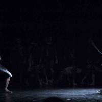 Ciclo Ciudad en Escena. Las Bestias