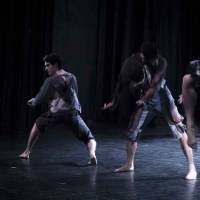 Ciclo Ciudad en Escena. Las Bestias
