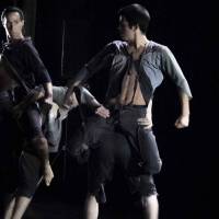 Ciclo Ciudad en Escena. Las Bestias