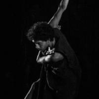 Ciclo Ciudad en Escena. Las Bestias
