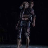 Ciclo Ciudad en Escena. Las Bestias
