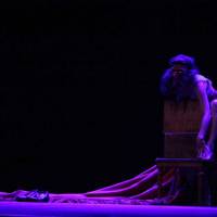 Ciclo Ciudad en Escena. Mujerpájaro