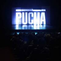 Pucha