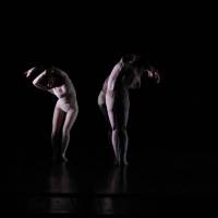 Ballet Nacional Sodre