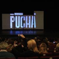 Pucha