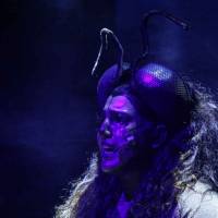 Cuarta producción integral del Teatro Municipal Coliseo Podestá. Cuentos de la Selva