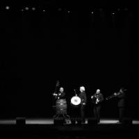 Les Luthiers