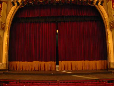Platea