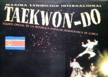 Taekwon-Do
