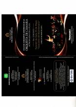 Concierto del Bicentenario - Gala 25 de Mayo