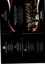Orquesta de camara Municipal